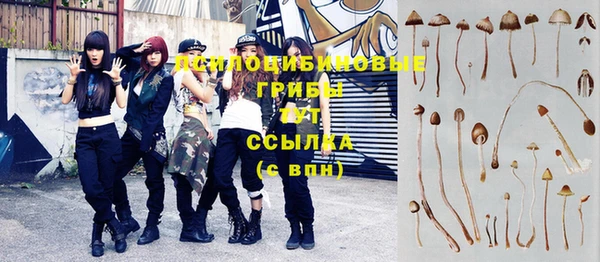 шишки Волосово