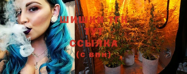 шишки Волосово