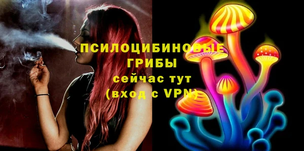 бошки Волоколамск