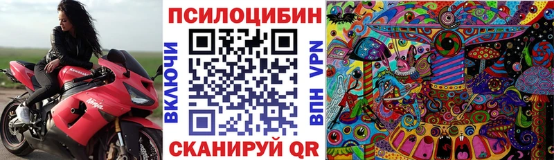 закладки  ссылка на мегу   Галлюциногенные грибы Cubensis  Дальнереченск 